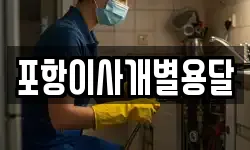 포항이사개별용달