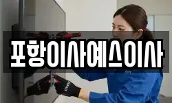 포항이사예스이사
