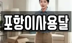 포항이사용달