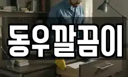 동우깔끔이