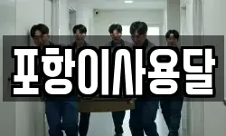 포항이사용달