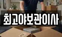 최고야보관이사