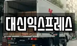 대신익스프레스