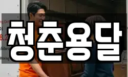 청춘용달