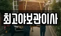 최고야보관이사