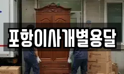 포항이사개별용달