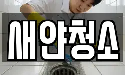 새얀청소