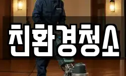 친환경청소