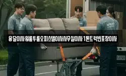 경상북도 포항시 북구 남빈동 이사,용달이사,포장이사,원룸이사,보관이사