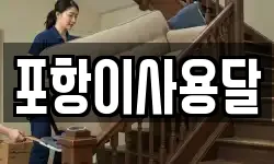 포항이사용달