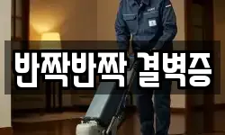 반짝반짝 결벽증