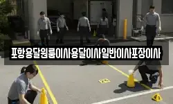 포항용달원룸이사용달이사일반이사포장이사