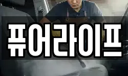 퓨어라이프