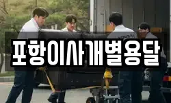 포항이사개별용달