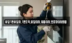용달1톤용달차,1톤트럭,용달이사,원룸이사,반포장이사화물