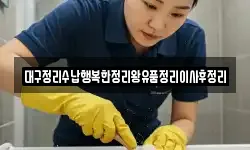 대구정리수납행복한정리왕유품정리이사후정리