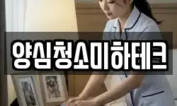 양심청소미하테크