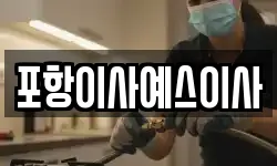 포항이사예스이사