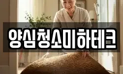 양심청소미하테크