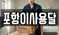 포항이사용달