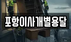 포항이사개별용달