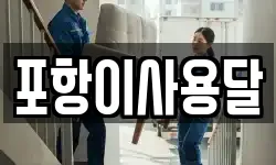 포항이사용달