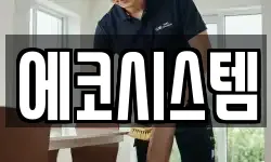 에코시스템