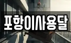 포항이사용달