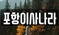 포항이사나라