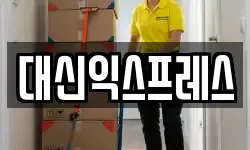 대신익스프레스