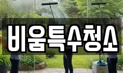 비움특수청소