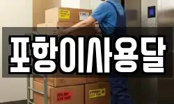 포항이사용달
