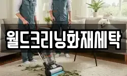 월드크리닝화재세탁