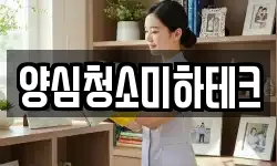 양심청소미하테크