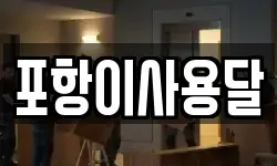 포항이사용달