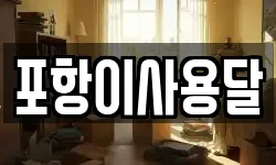 포항이사용달