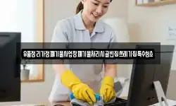경상북도 포항시 북구 청하면 청소,입주청소,사무실청소,에어컨청소
