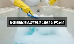 탐정들의영업비밀,경찰출신흥신소불륜증거수집전문