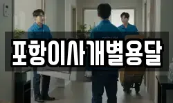 포항이사개별용달