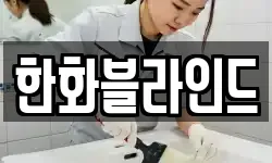 한화블라인드