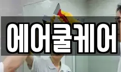 에어쿨케어