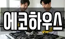 에코하우스
