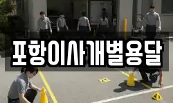 포항이사개별용달