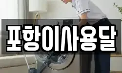 포항이사용달