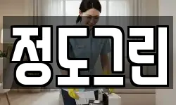 정도그린