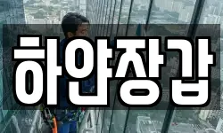 하얀장갑