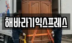 해바라기익스프레스
