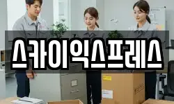 스카이익스프레스