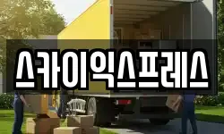 스카이익스프레스