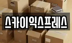스카이익스프레스